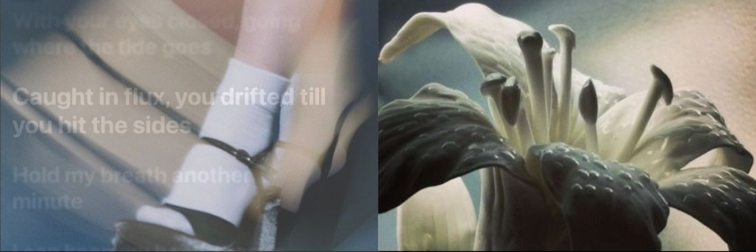 ujaeminn's profile banner image