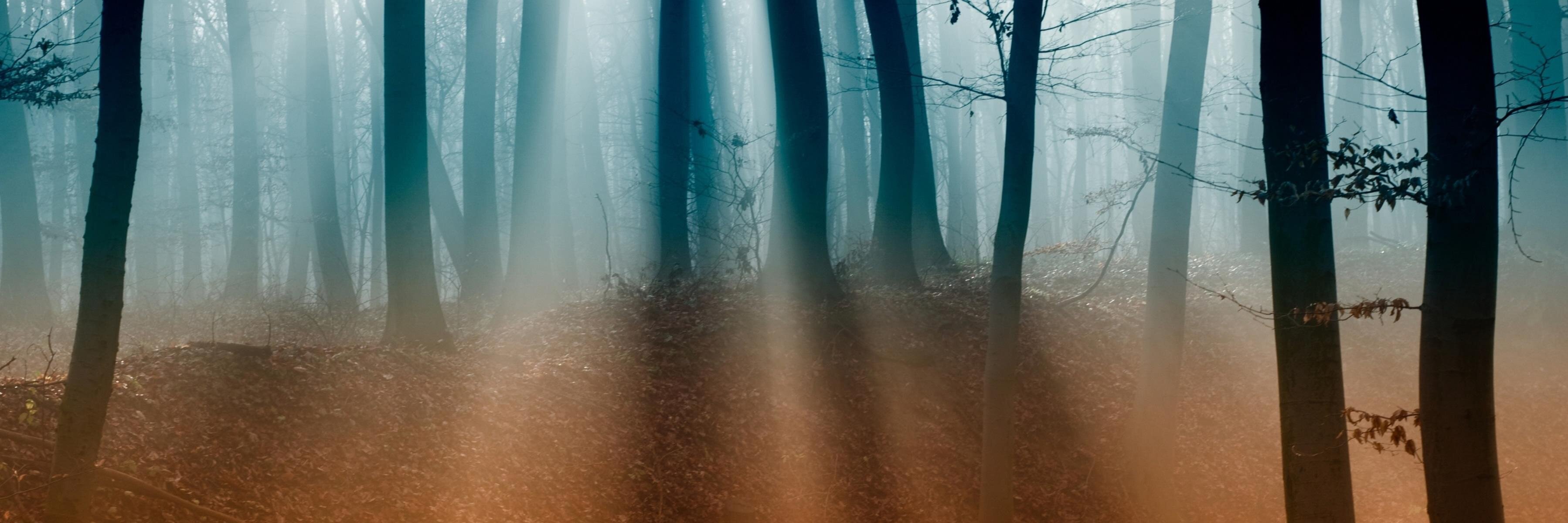 brenmt's profile banner image