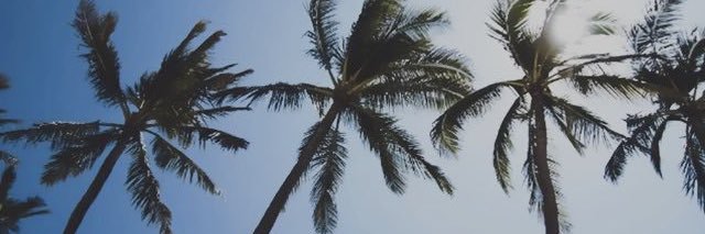 esp_looooove's profile banner image