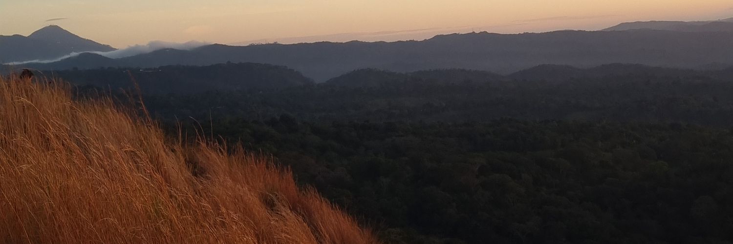 shydianx's profile banner image