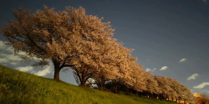 Taylor_SWKuo's profile banner image