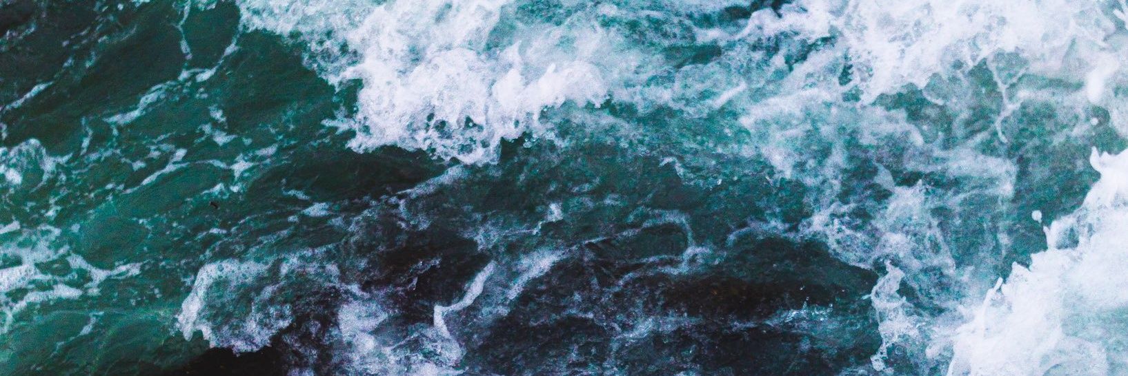 Rafiur Rahman banner