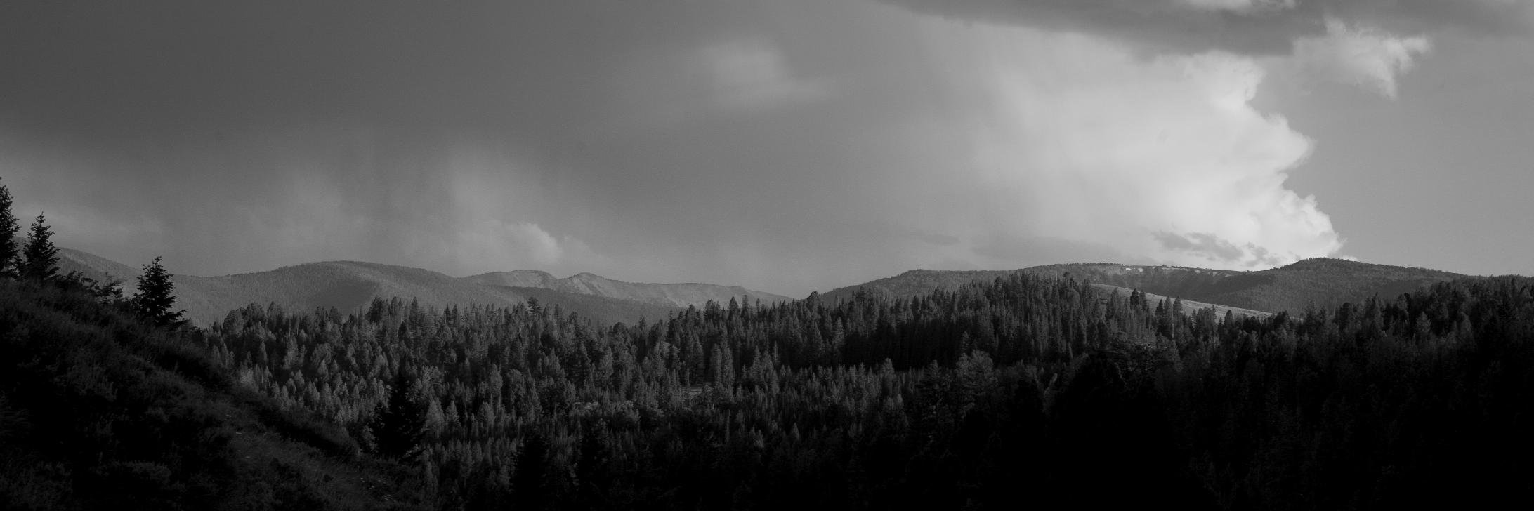ChrisRiesner's profile banner image