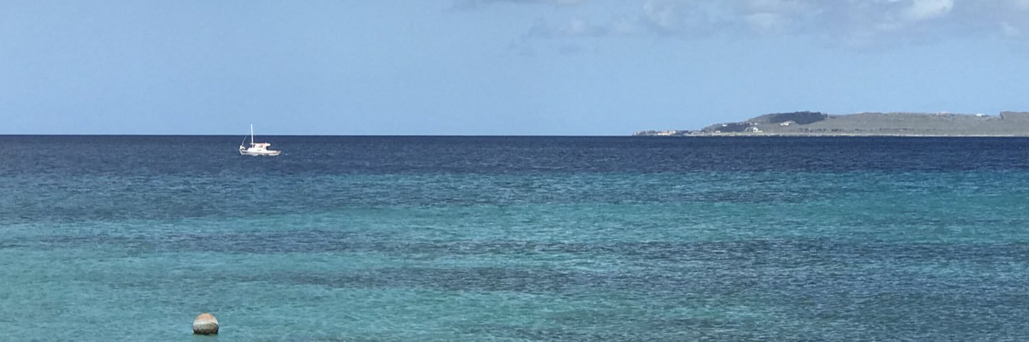 American Jose Islandman's banner