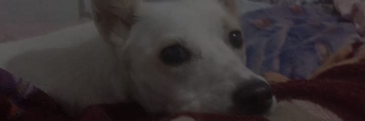 camiyossen_'s profile banner image
