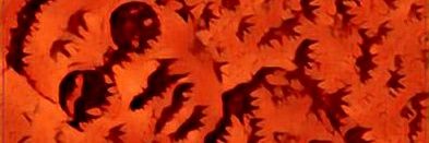 EllJed's profile banner image