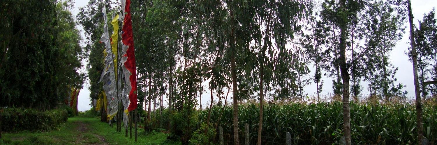 DechenDeshar's profile banner image