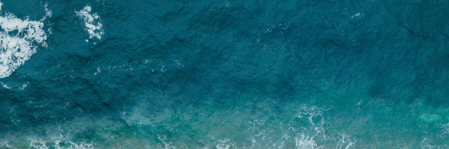 lua_reisp's profile banner image