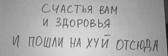 Шанхуйский кот banner