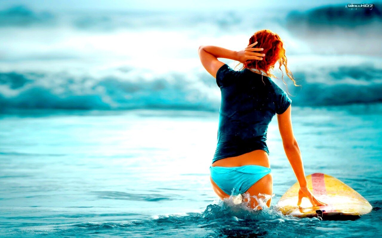 RoyerSwimmer's profile banner image