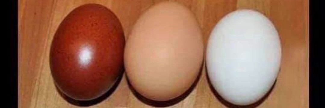 williamdalk's profile banner image