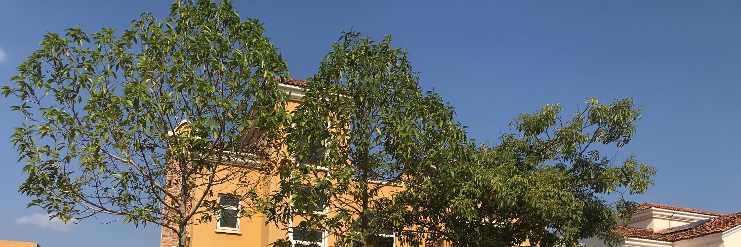 Dakiibua's profile banner image