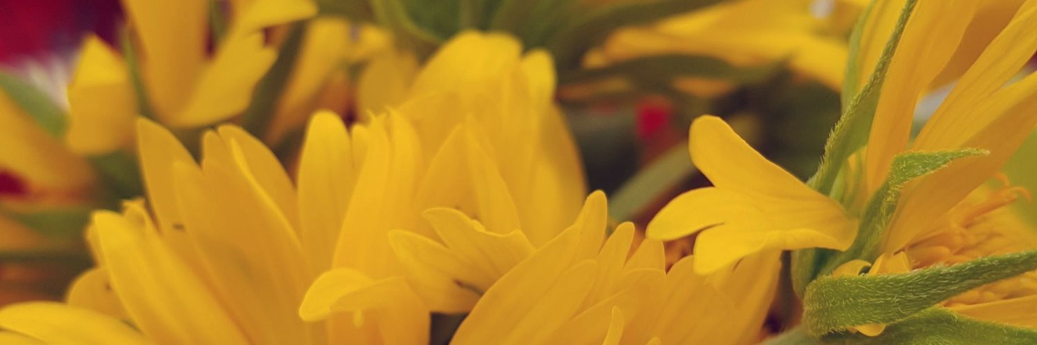 عِ 🌸✨ banner
