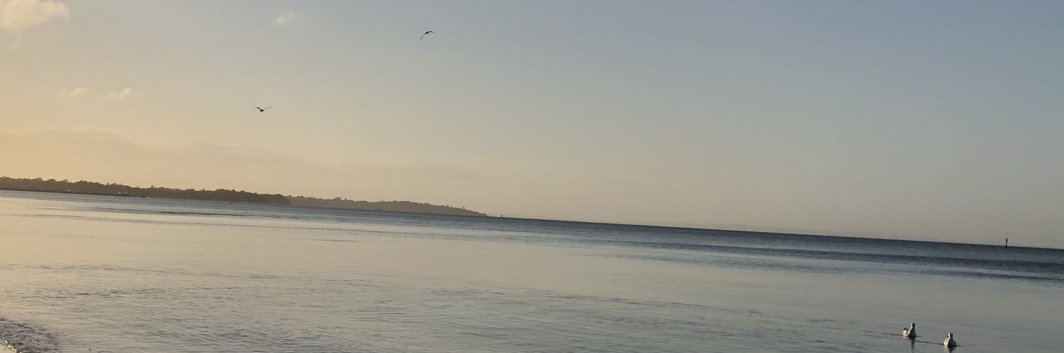 Dr Alexandra Anderson banner