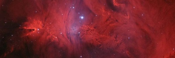 shaunreylec Profile Banner