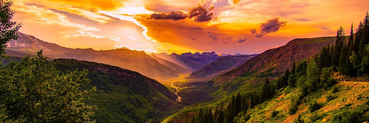 نيلام🌻🌙 banner