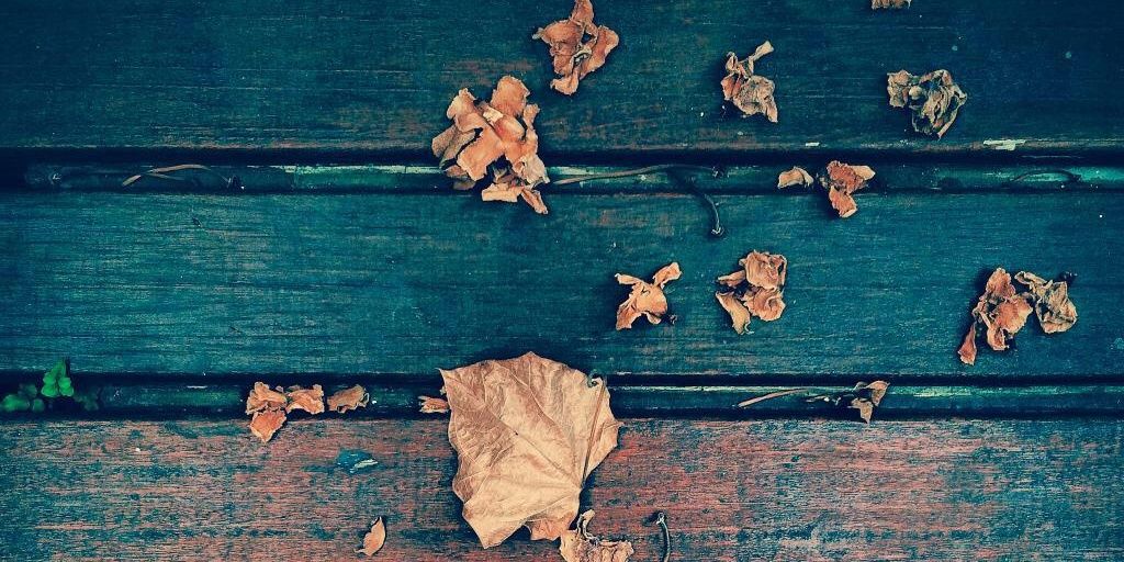 ClaudiaOctaviaa's profile banner image