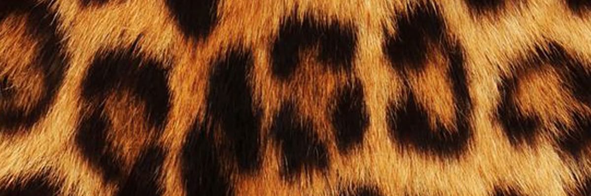 sagitterrorist! ✮ banner