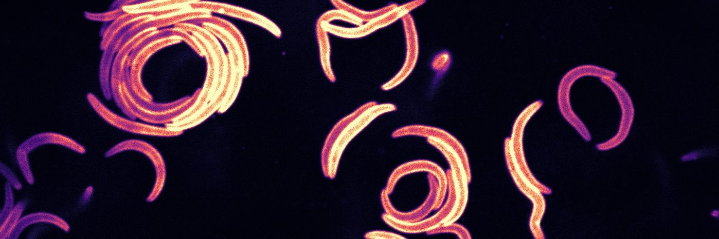 Jessica Kehrer banner