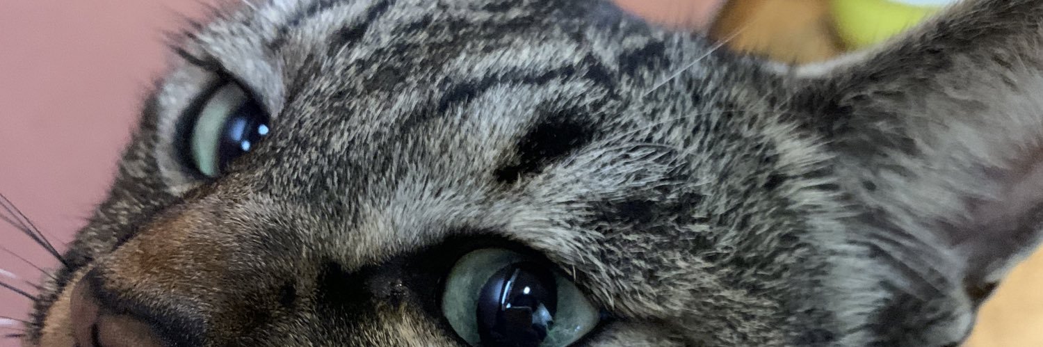 yukatf's profile banner image
