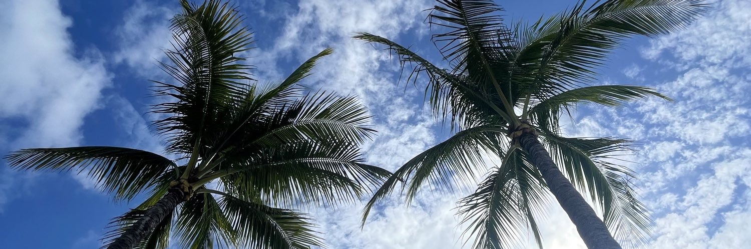 William L Safaré banner