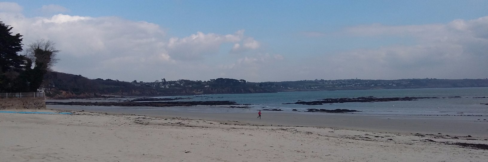 irène drogou banner