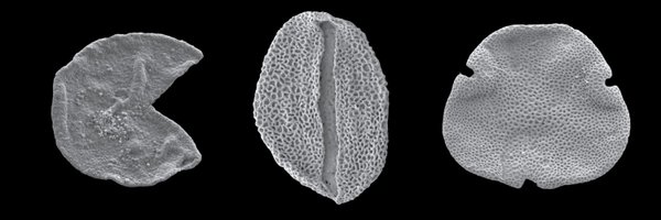 VeraKorasidis Profile Banner