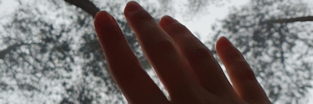 annisaastria's profile banner image