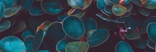 ☻ banner