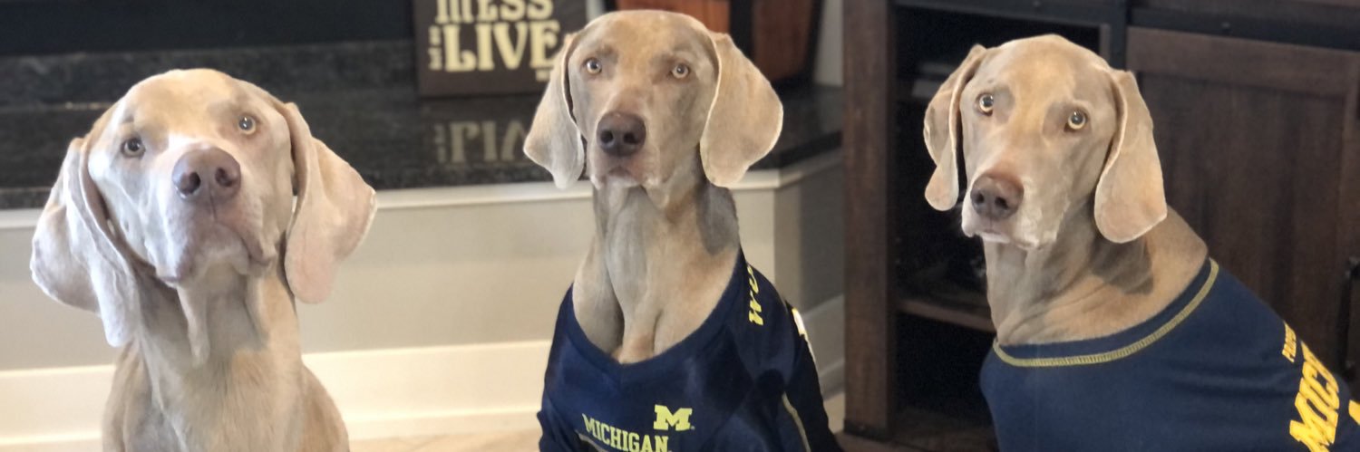 GoBlueBarrett's profile banner image