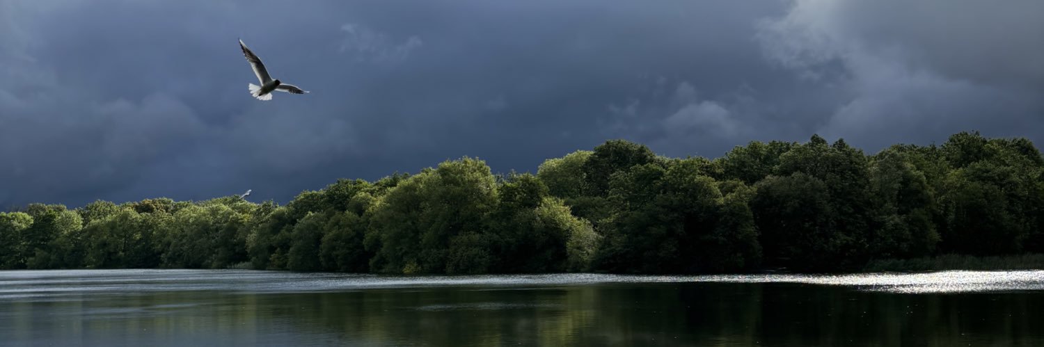 Dinton Pastures parkrun banner