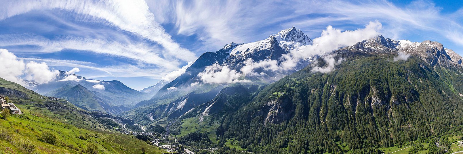 Mâle Sigma-JML premium banner