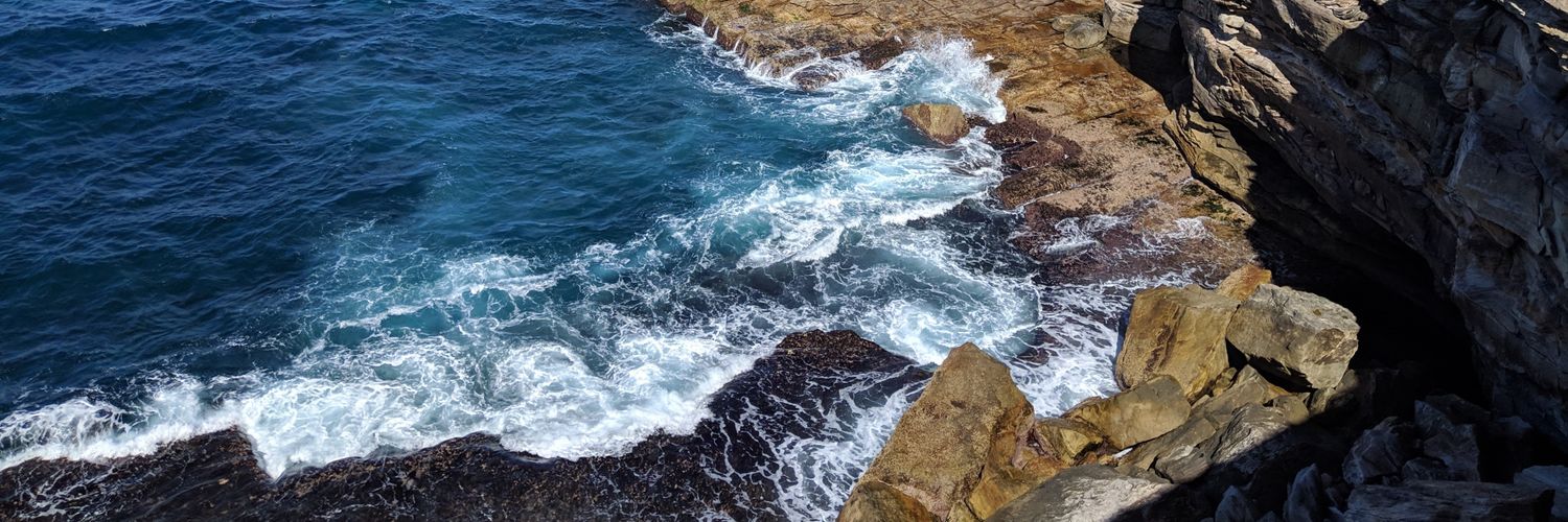 Gunjan Chakrabarty banner