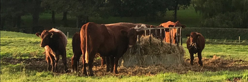 NorfolkFarmers's profile banner image
