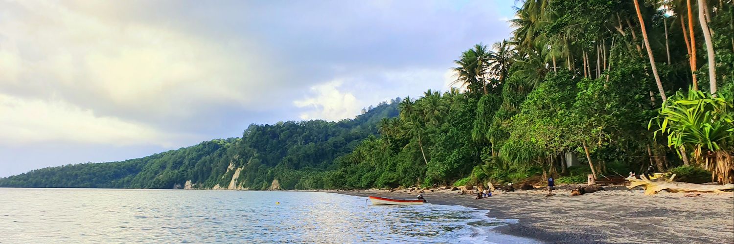 Maholopa Laveil banner