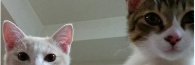bonn523's profile banner image
