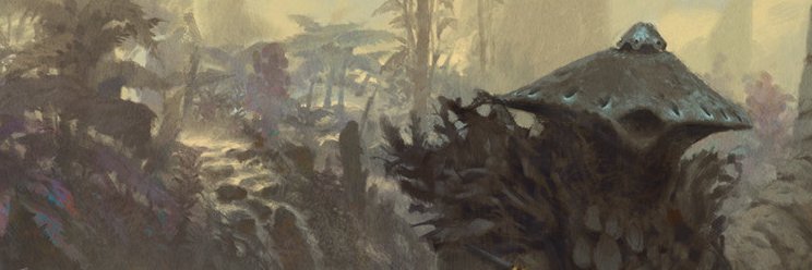 tonpix's profile banner image