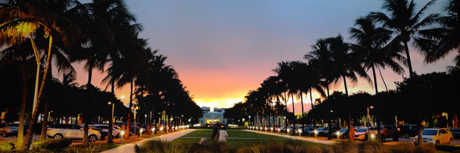 palmtree3398's profile banner image