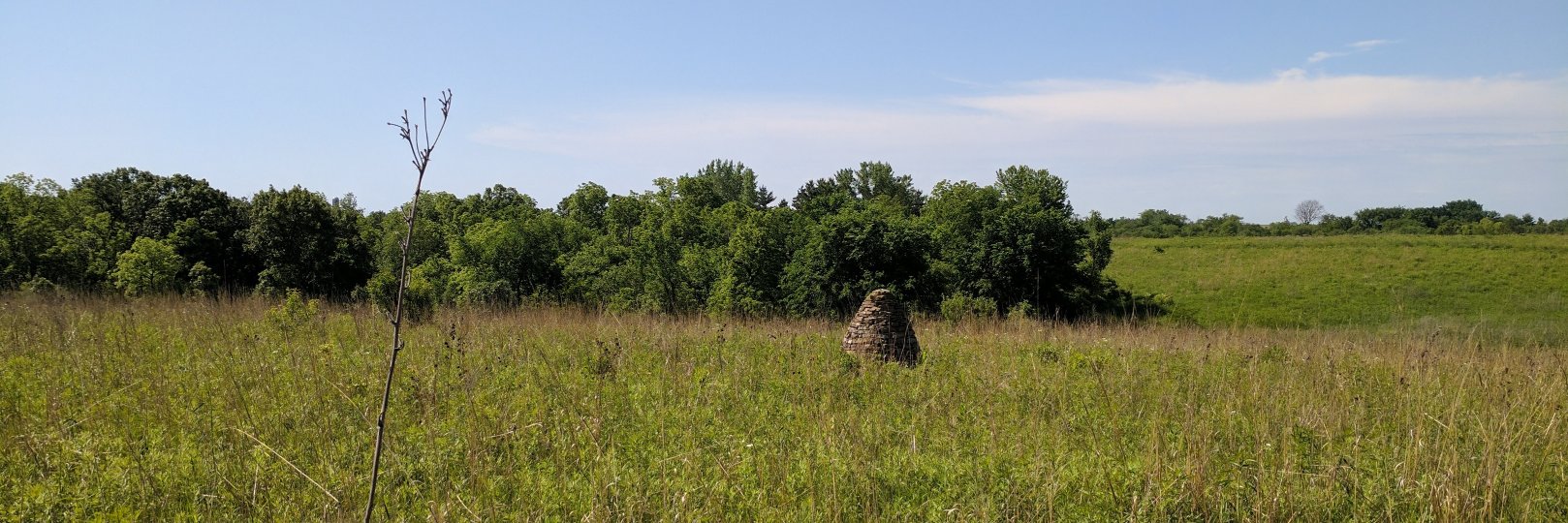Benjamin J. Spears banner
