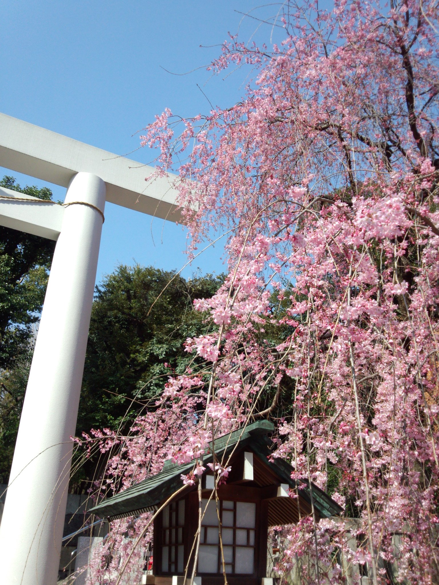 thanksJapanlove's profile banner image