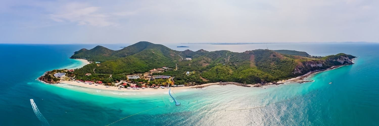 @ Pong🌴🏝🐬 banner