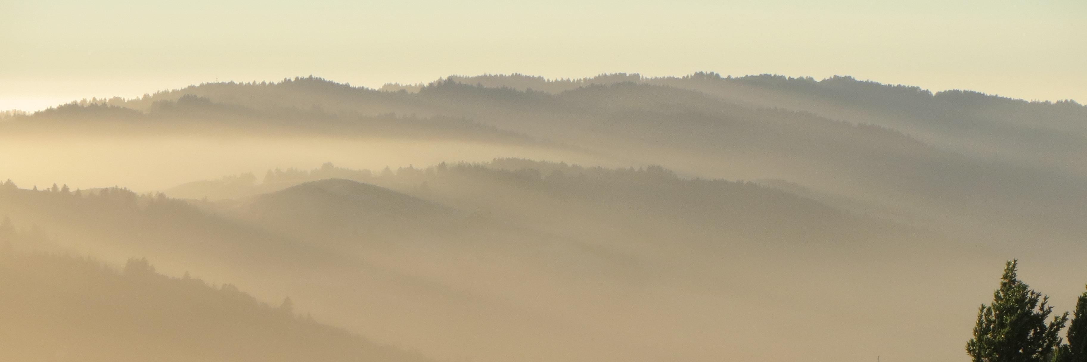 Christian Westbrook banner
