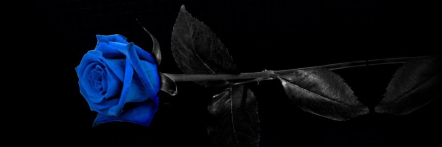 under1160's profile banner image