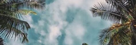 🍩 banner