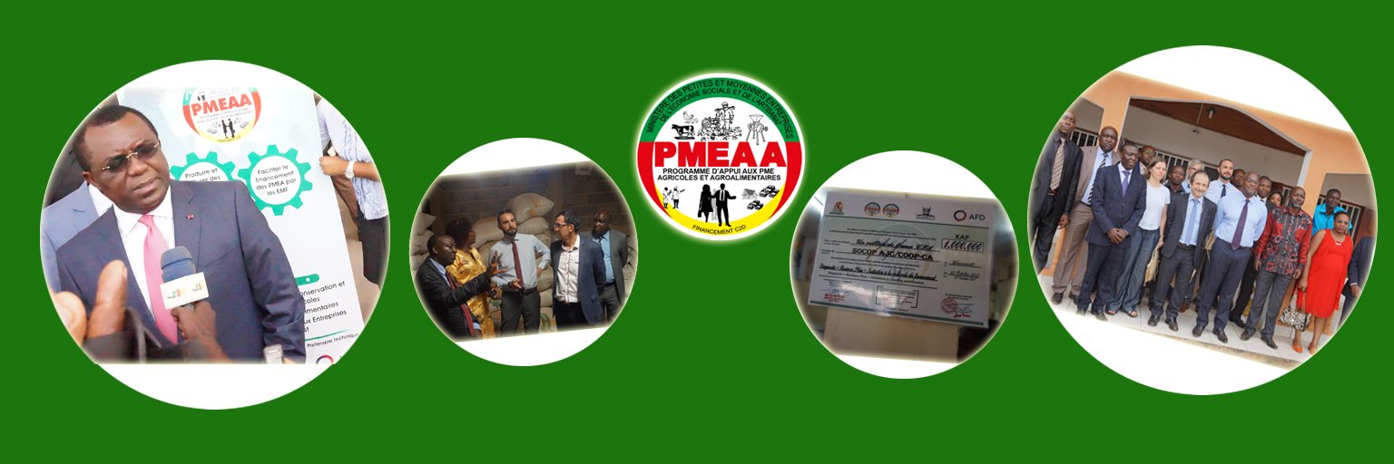 PmeaaP's profile banner image