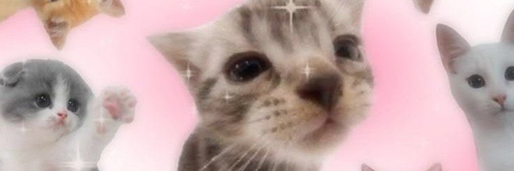 killerqueenl's profile banner image