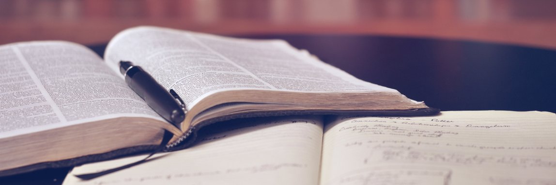 Linguistic Challenges of the Transition banner