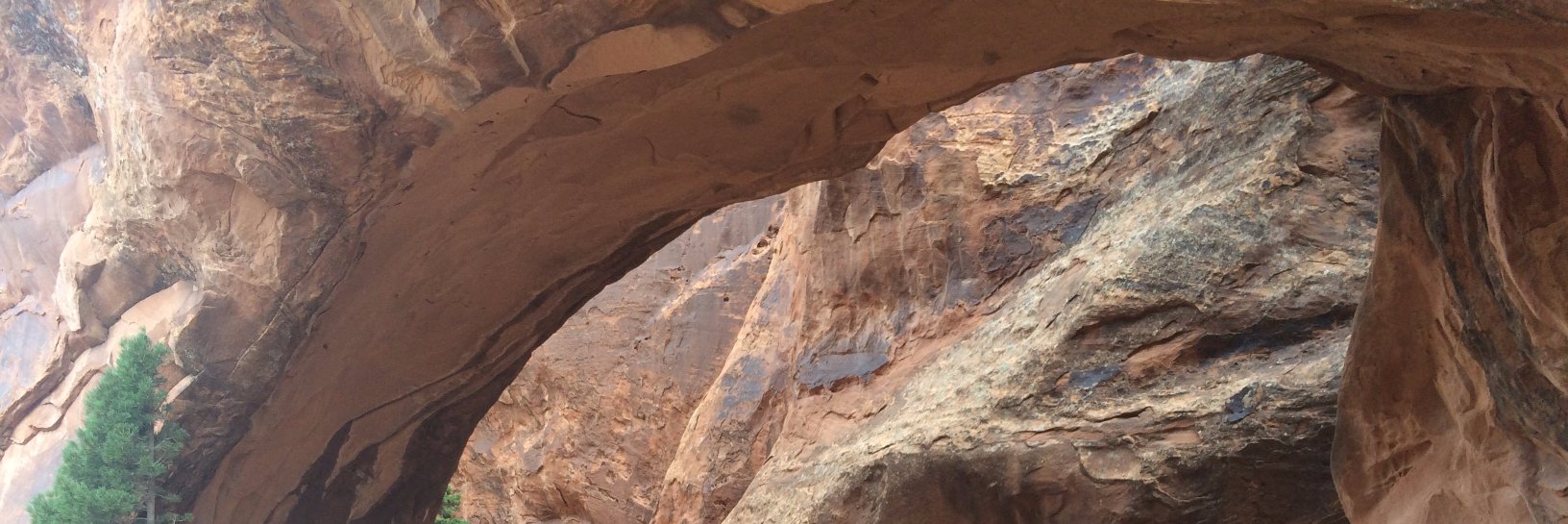 culturerunner's profile banner image