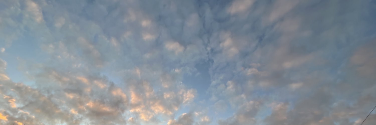 Sarah_Donehoo's profile banner image