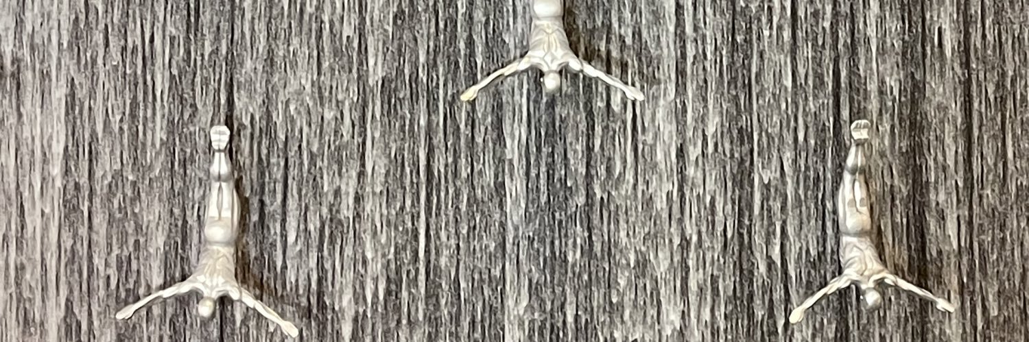 TryingHardGuy banner